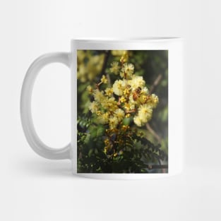 European Honey Bee on Wattle Mug